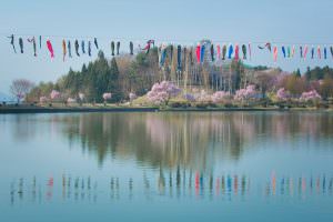 荒神山公園。鯉のぼりが水面に映って、気持ちよさそうに泳いでいるようです。