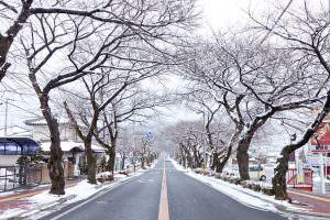 桜並木がじっと春の訪れを待ち焦がれています。